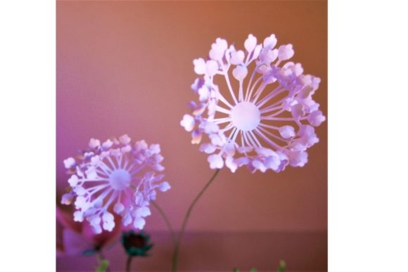 Aphrodite Paper Flower Templates: 3D SVG Designs for Elegant Paper Crafts